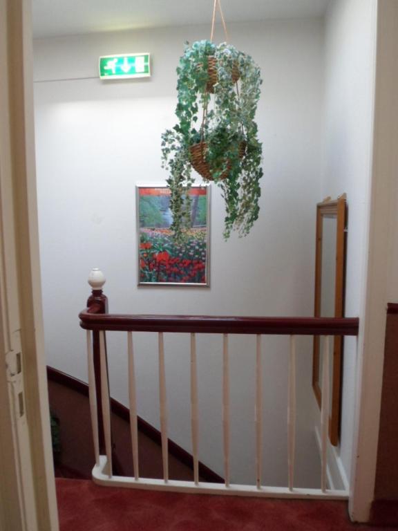 Staten Hotel Lahey Dış mekan fotoğraf